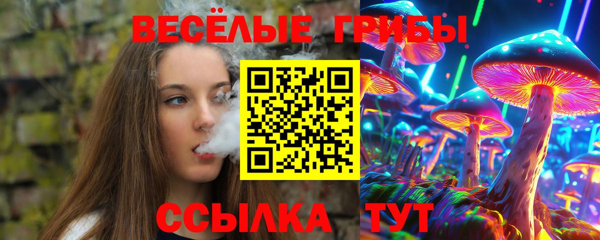 Галлюциногенные грибы Psilocybine cubensis  Вход с VPN  Ишимбай 