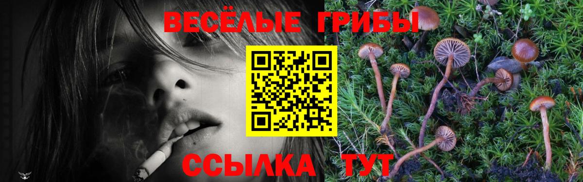 Галлюциногенные грибы мицелий Ишимбай